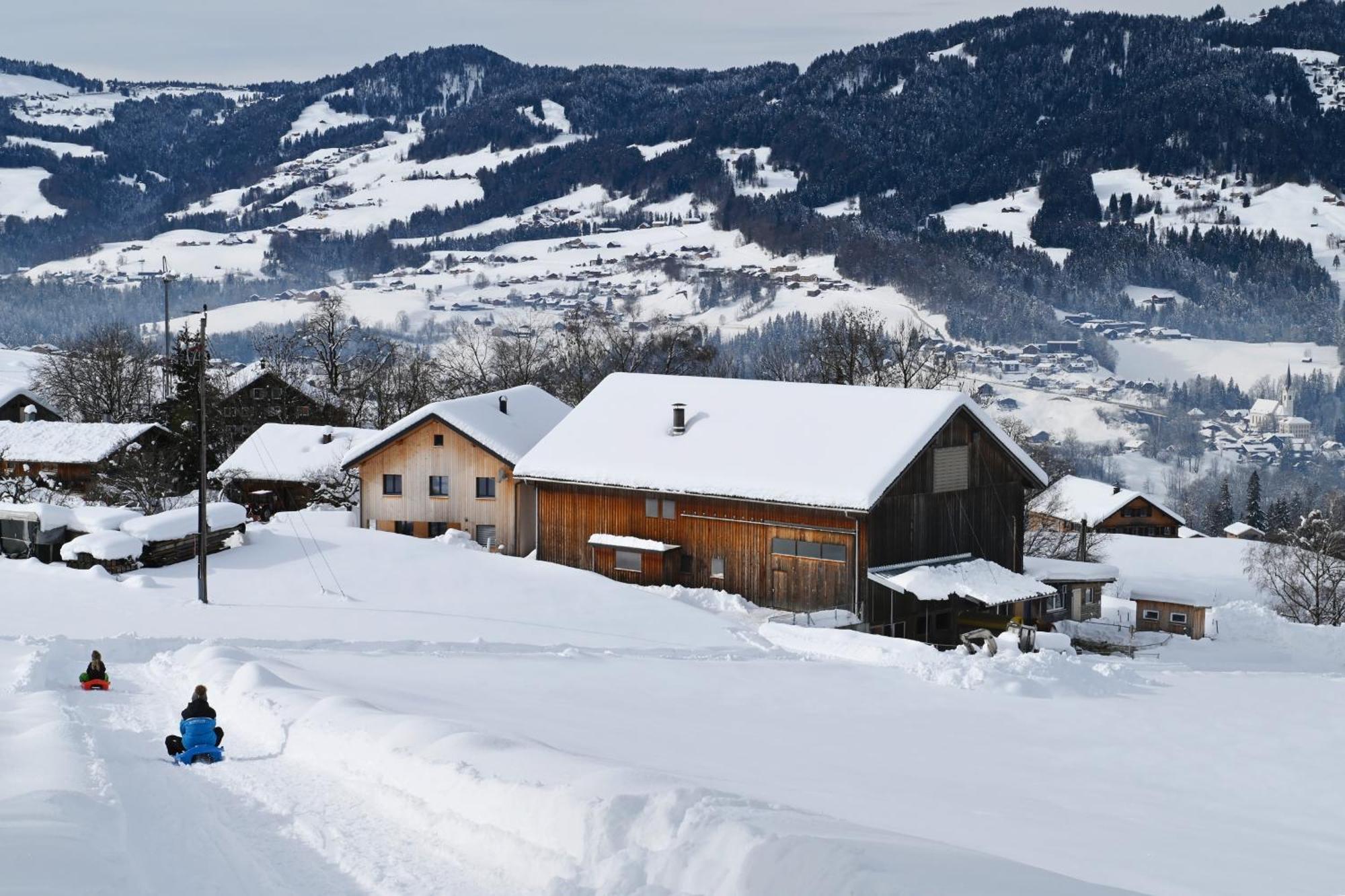 Ausblickhof Geiger Appartement Egg Buitenkant foto