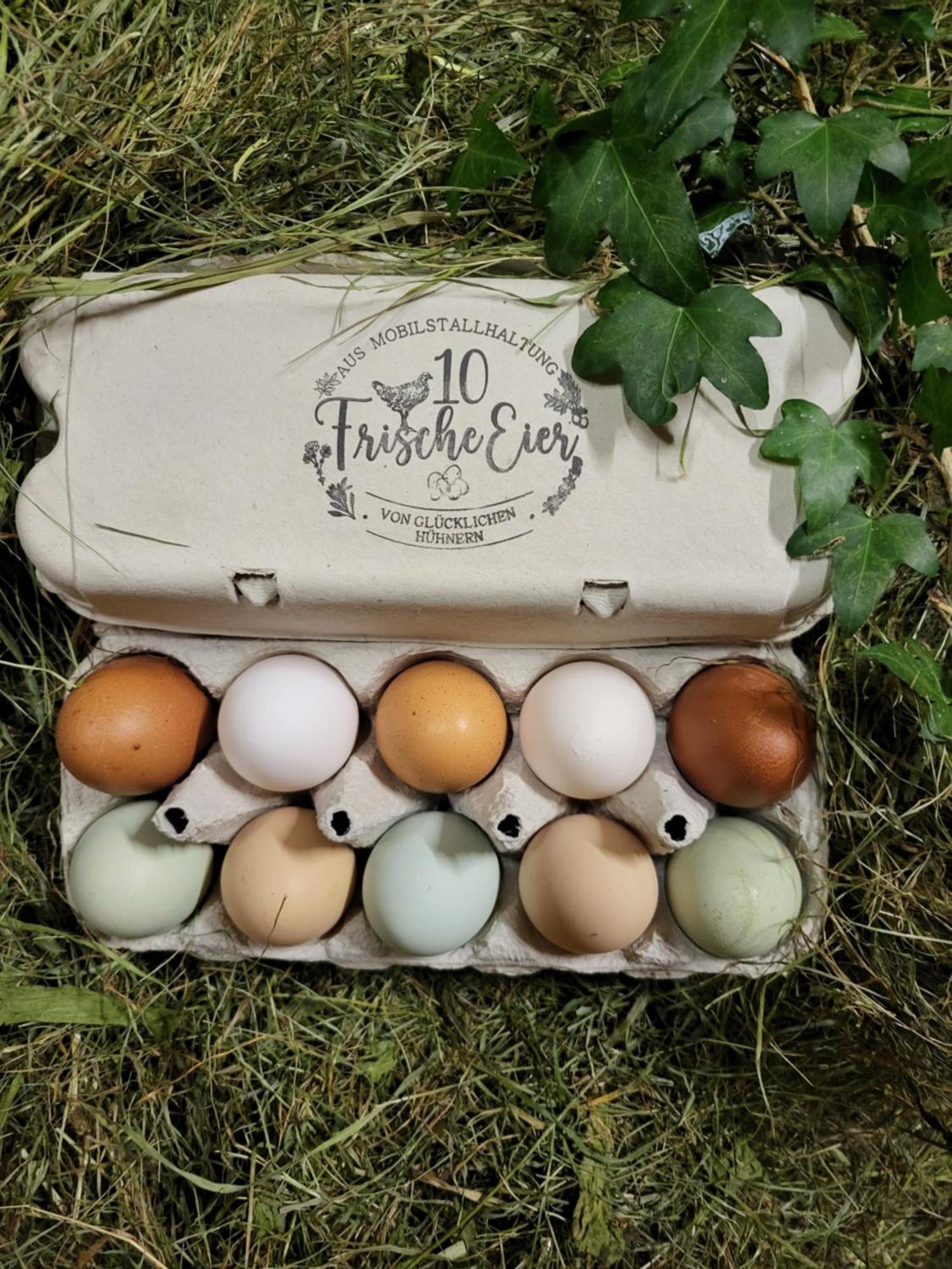 Ausblickhof Geiger Appartement Egg Buitenkant foto