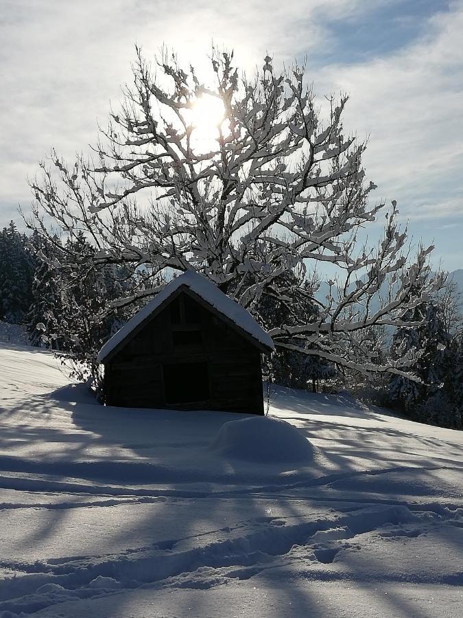 Ausblickhof Geiger Appartement Egg Buitenkant foto